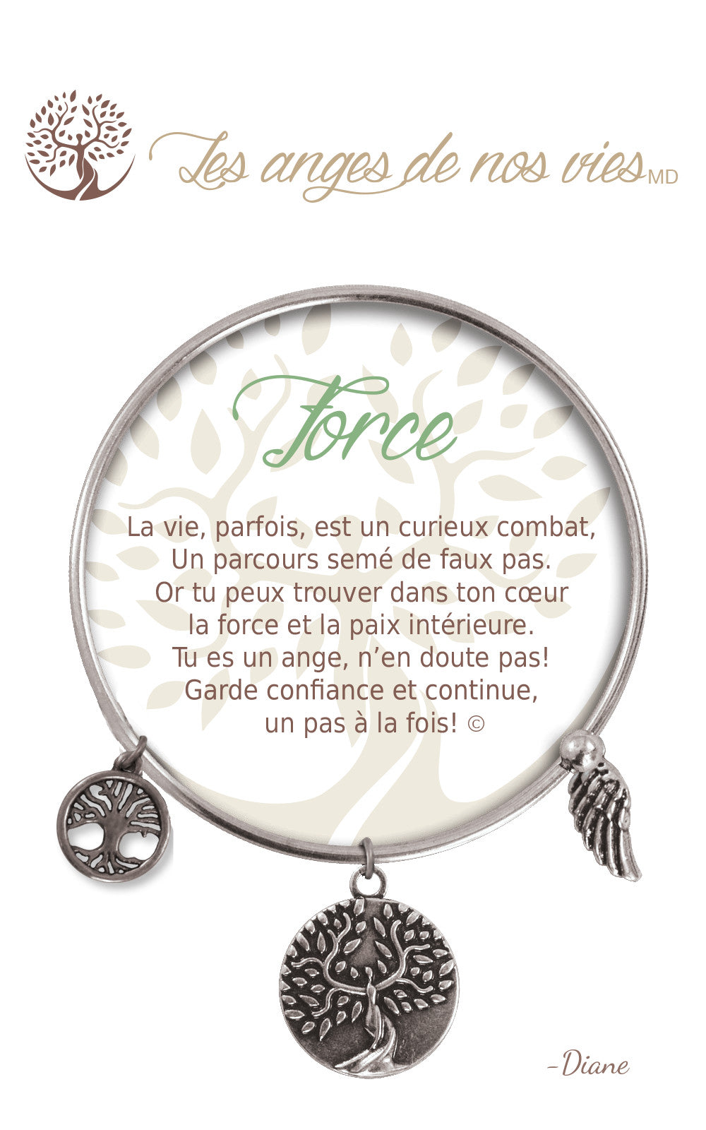 Bracelet De Charme - Force Argent