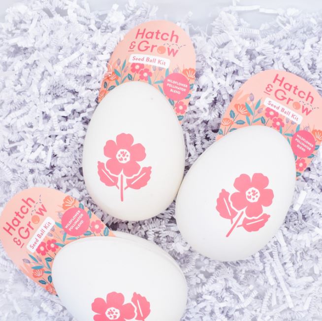 Kit De Boules De Graines Polinisateur De Fleurs