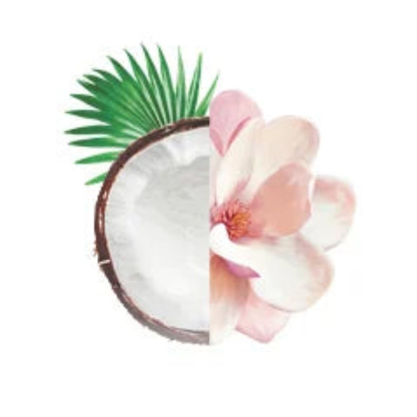 Eau Fraiche Alo Coconut Rose