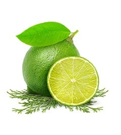 Aromate d`ambiance Cucina zeste lime et Cyprès 100 ml