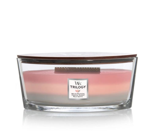Bougie Trilogie Ellipse Shoreline 454 G