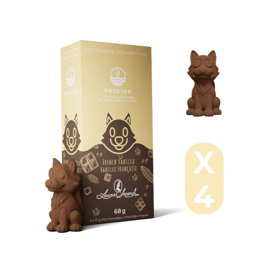Bombes À Chocolat Chaud Vanille Francaise (pqt 4)