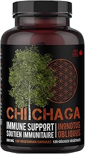 Capsules Chaga 300 Mg (120 Pcs)