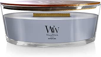 Bougie Ellipse Hypnoflora 454 G