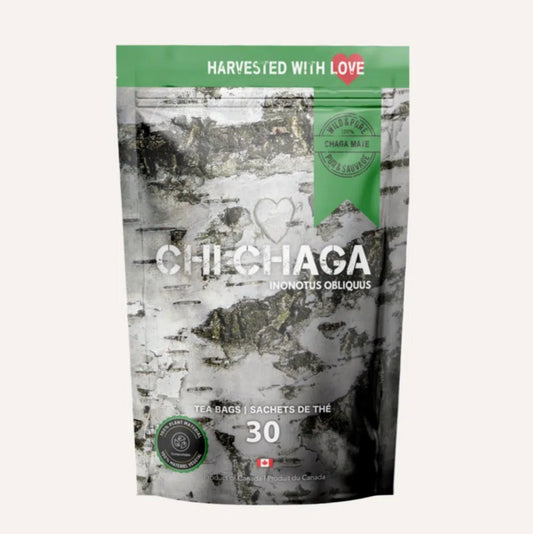 Sachets De Thé Chaga Mate (30 Pcs)