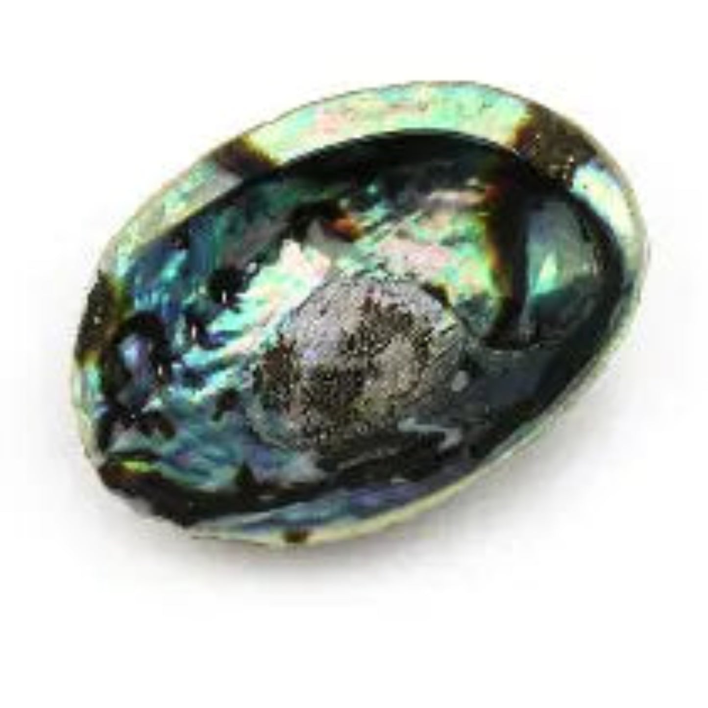 Coquillage Pour Smudge 4pouces X 6.5pouces