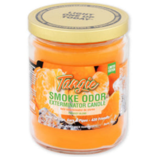 Bougie parfumée Tangerine 13on