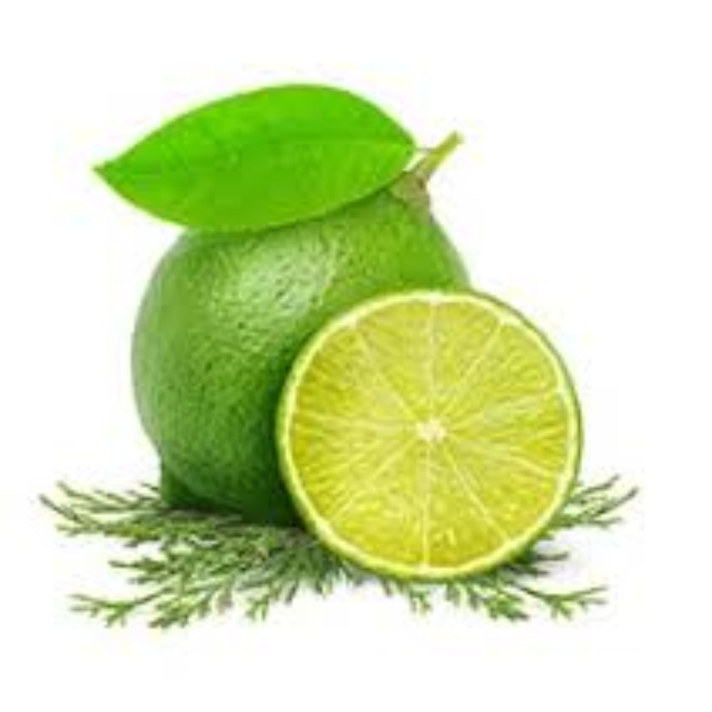 Détersif À Vaisselle 1 L Zeste de Lime et Cyprès ( Recharge)
