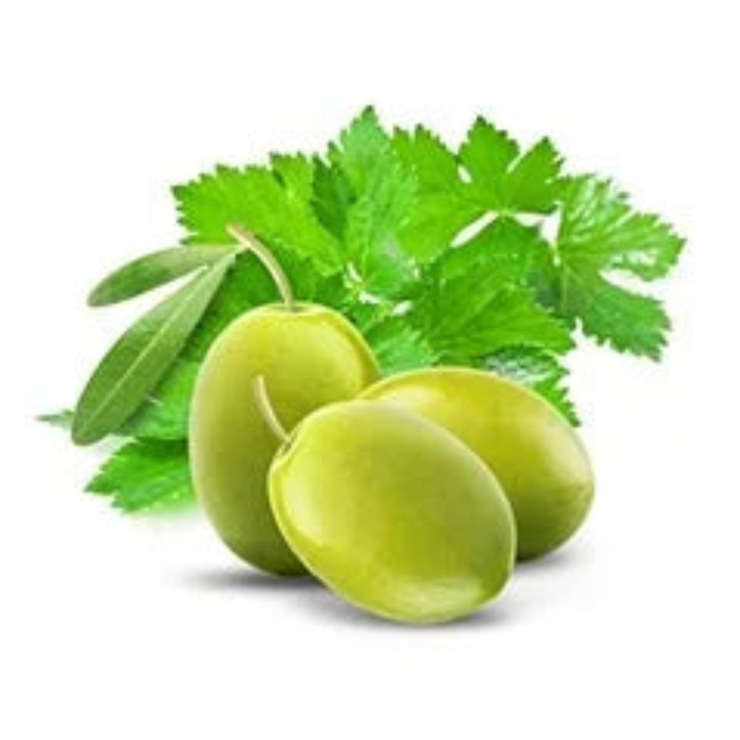 Savon pour les Mains Cucina Coriandre et Olivier 200ml