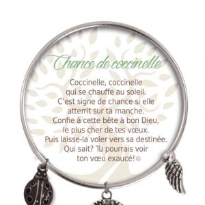 [Clock It To Ya] Bracelet De Charme Chance De Coccinelle Argent
