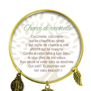 [Clock It To Ya] Bracelet De Charme Chance De Coccinelle Or