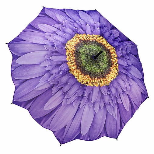 [Galleria] Parapluie Wisteria Daisy