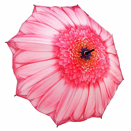 [Galleria] Parapluie Marguerite Rose Gerbera