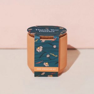 [Modern Sprout] Petit Kit Terre Cuite - Thank You Daisies