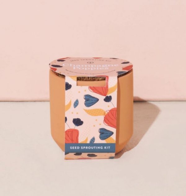 [Modern Sprout] Petit Kit Terre Cuite - Champagne Poppies