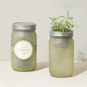 [Modern Sprout] Pot De Jardin Romarin
