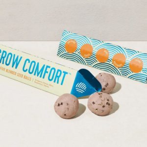 [Modern Sprout] Bright Side Seed Balls - Grow Comfort